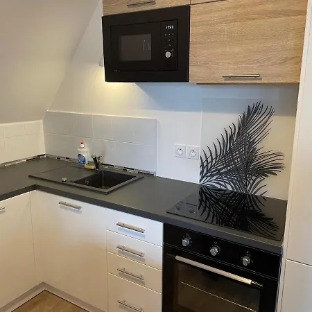 Bel « the Lion King » Proche Apartment Montévrain